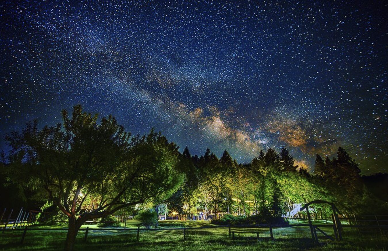 summit-and-shore-treehouse-adventures-in-oregon The Oregon Treehouse Hotel