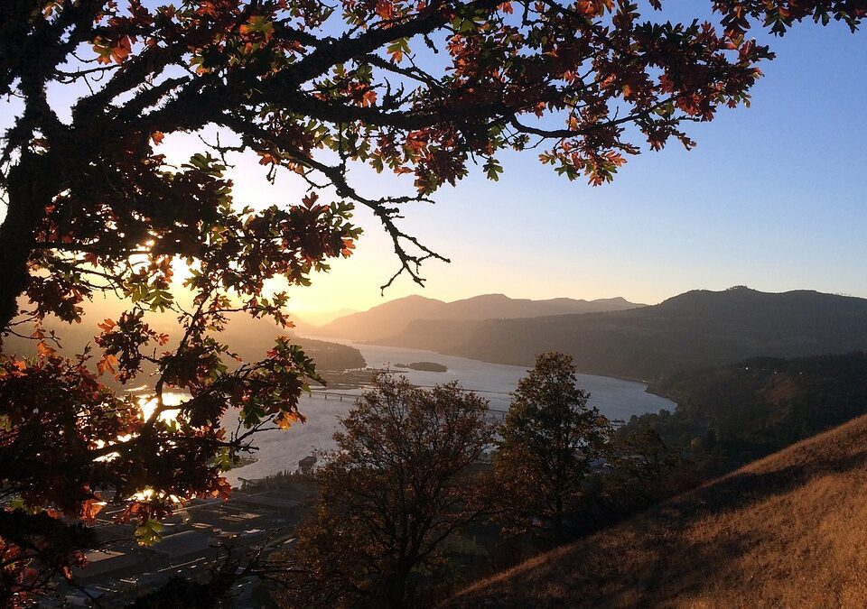 Best Hiking Trails Near Oregon Caves ~ Discover Oregon’s Magic:…