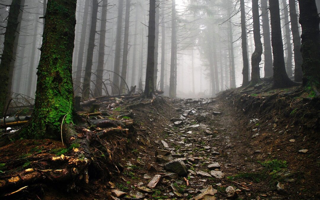 Best Hiking Trails Near Oregon Caves » Your Quick Guide…