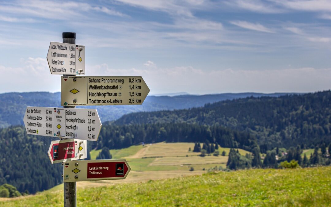 Best Hiking Trails Near Oregon Caves: Quick Peek Inside! Get…