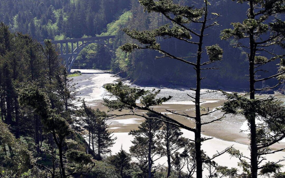 Best Hiking Trails Near Oregon Caves | Escape To Oregon’s…