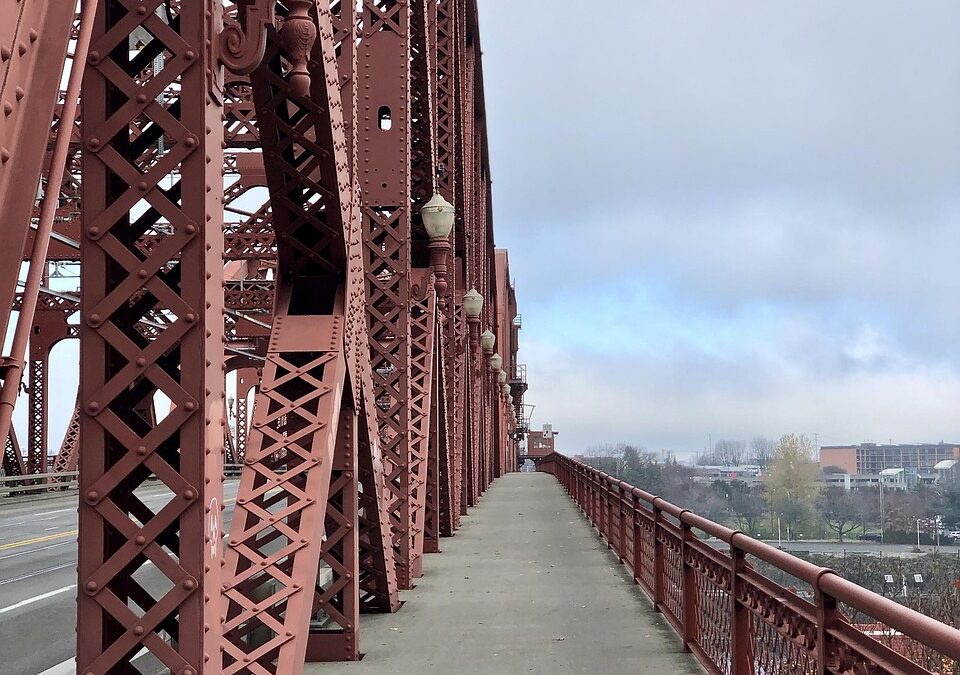 Best Places For Birdwatching In Oregon / Oregon’s Wonders: Where…