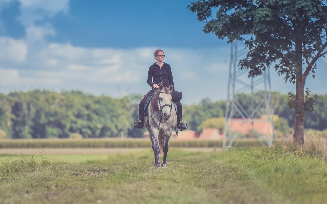 Horseback Riding At Out’n’About Treehouse Treesort / “`html Gallop Through…