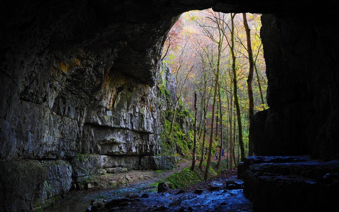 Nature Preserves Near Cave Junction | Unlocking Nature’s Secrets: Your…