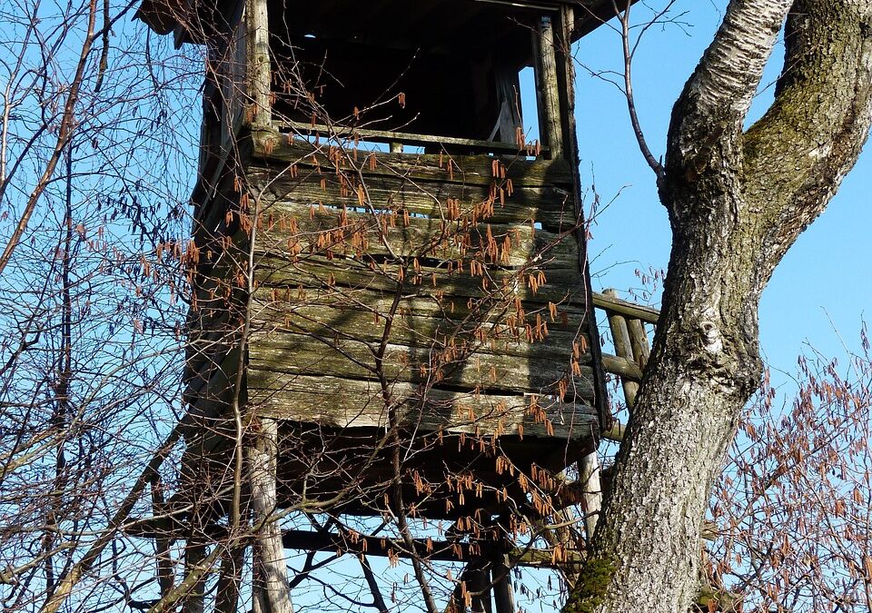 Oregon Treehouse Adventures At Out’n’About Treehouse Treesort | Dreaming Of…