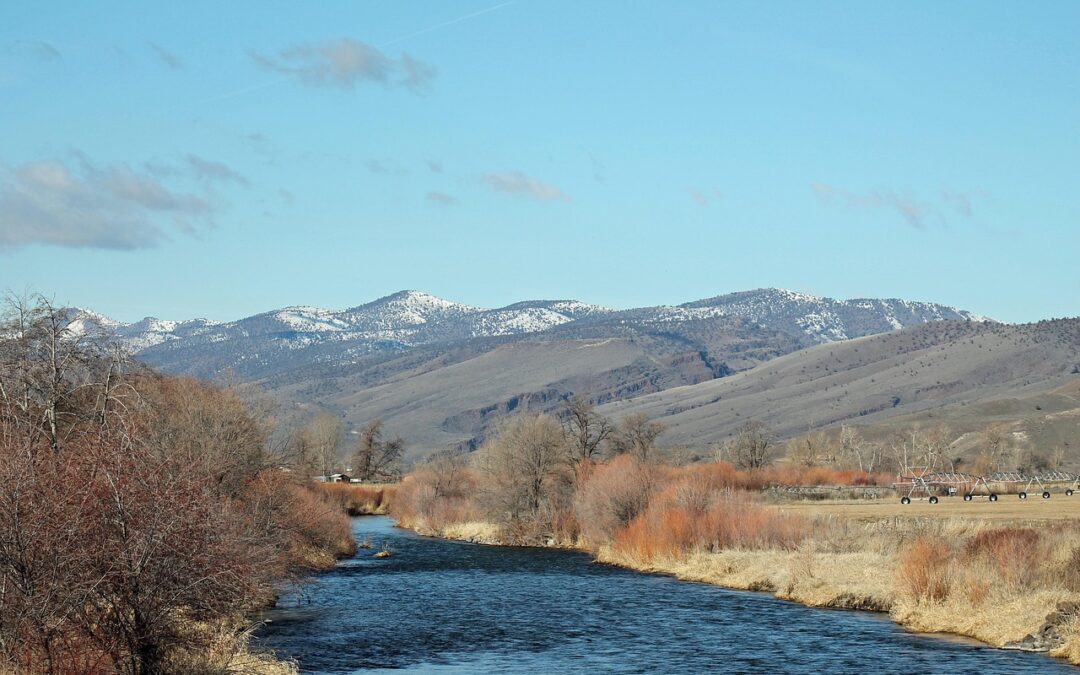 Oregon River Rafting Tours For Beginners | Paddle Your Way…
