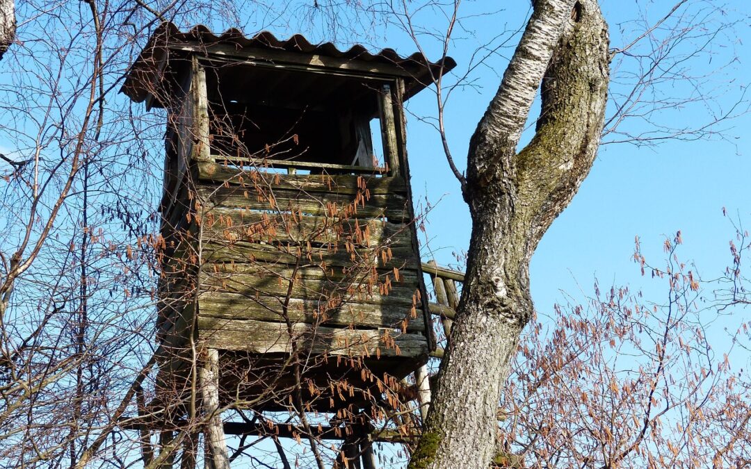 Out’n’About Treehouse Treesort | Unforgettable Adventures: Sleeping In Trees And…