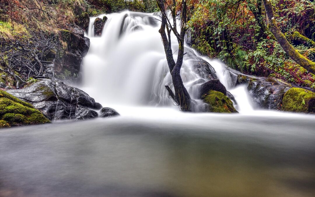 Rogue River Whitewater Rafting Trips ~ Get Ready For An…