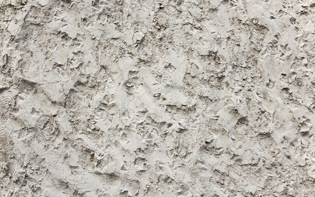 Rough And Ready Botanical Wayside | Quick Peek: What’s This…