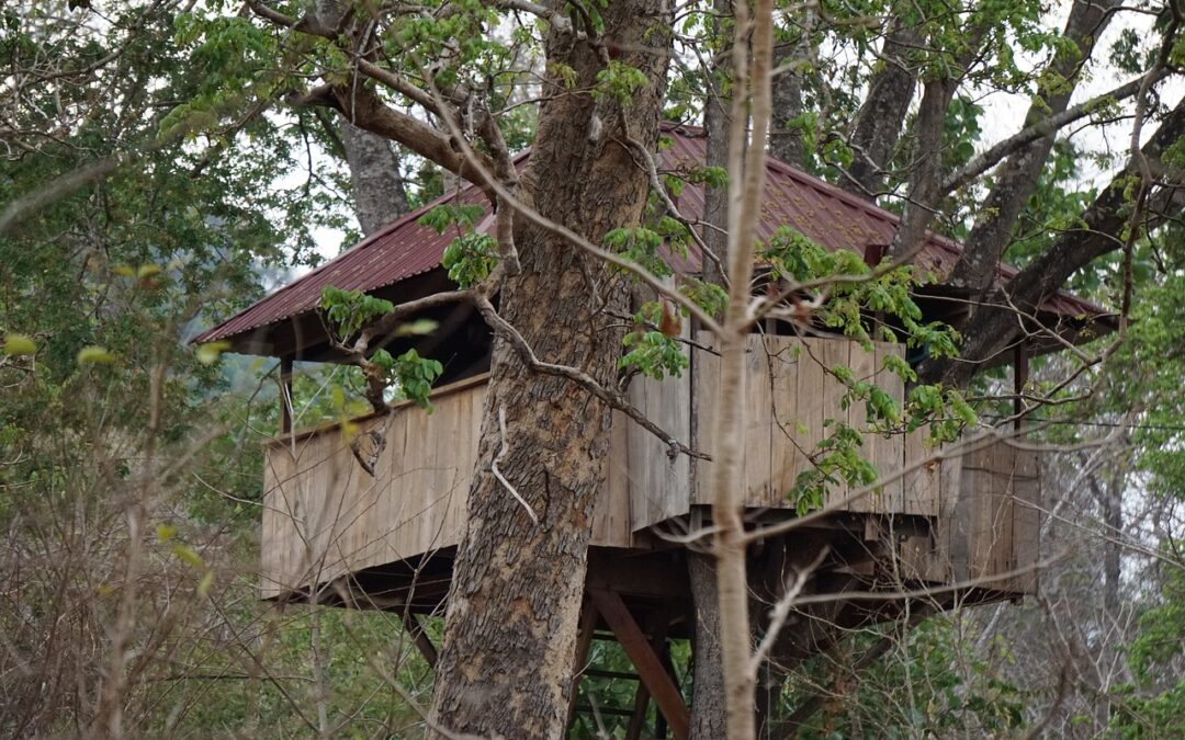 Unique Treehouse Rentals In Oregon » Oregon’s Enchanting Escapes: Treehouses,…