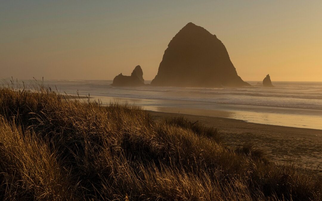 Where To See Exotic Big Cats In Oregon: Get Wild…