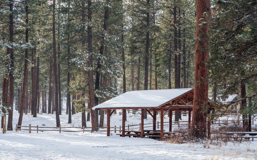 Wildlife Parks Near Cave Junction, Oregon: “`html Your Wild Oregon…