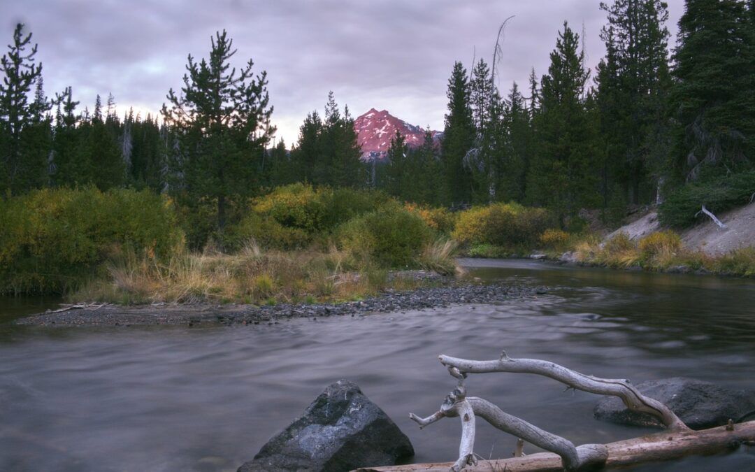 Affordable Rafting Trips In Southern Oregon / Splash Into Adventure:…
