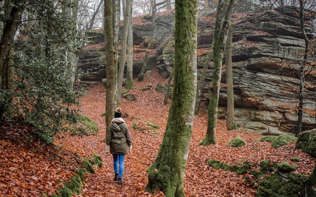 Best Hiking Trails Near Oregon Caves – Welcome To Your…