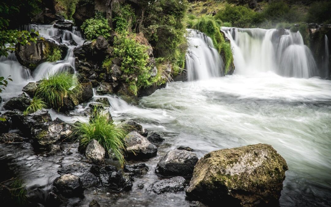 Best Nature Walks In Oregon / Adventure Awaits! Explore Oregon’s…