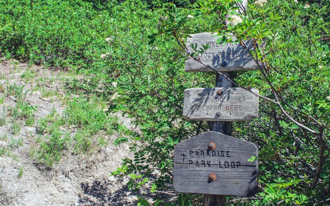Family-friendly Treehouse Lodging In Oregon ~ Escape To The Trees:…