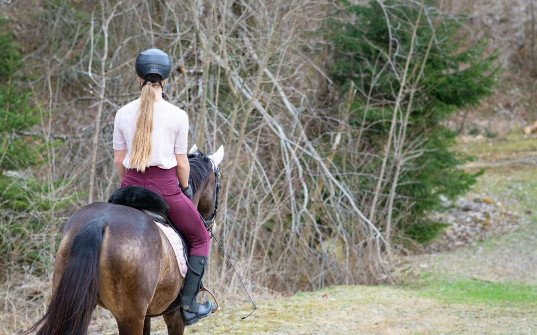 Horseback Riding At Out’n’About Treehouse Treesort / Saddle Up For…