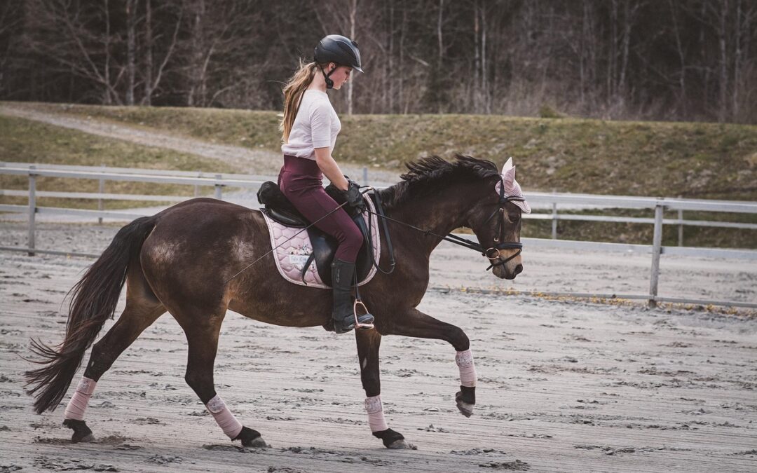 Horseback Riding At Out’n’About Treehouse Treesort » Saddle Up For…