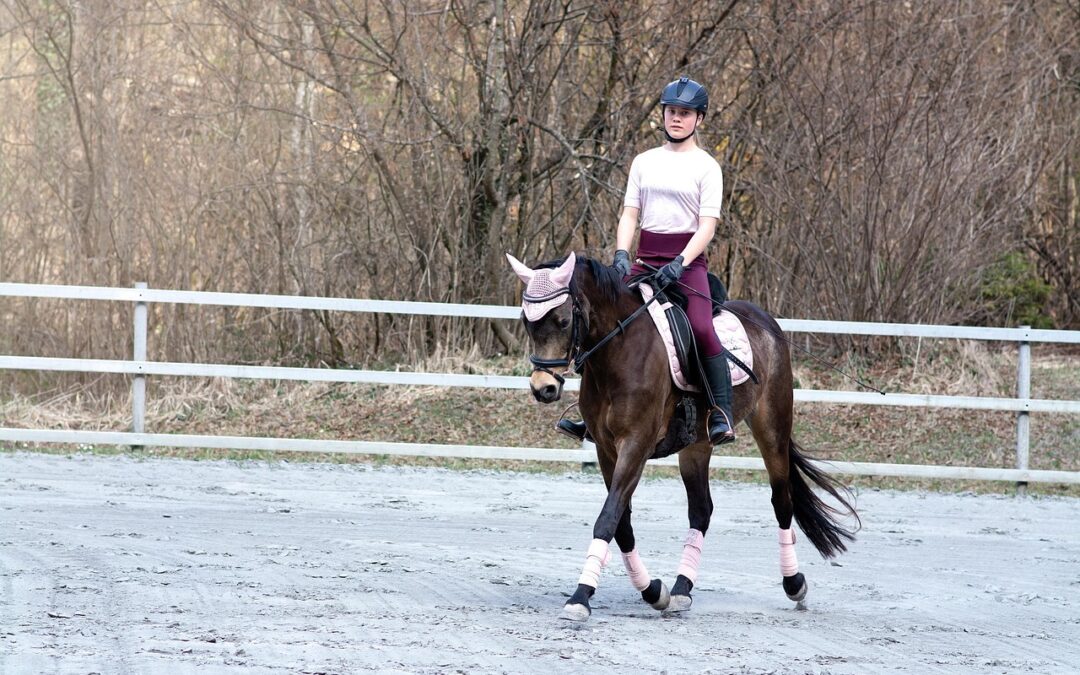 Horseback Riding At Out’n’About Treehouse Treesort / “`html Saddle Up…