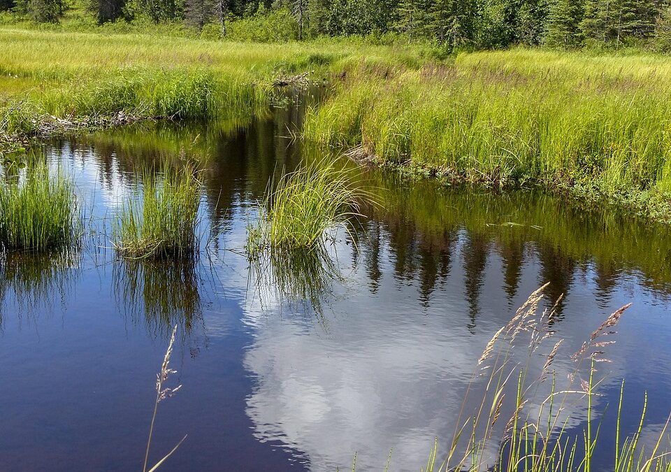 Nature Preserves Near Cave Junction » Your Passport To Adventure:…