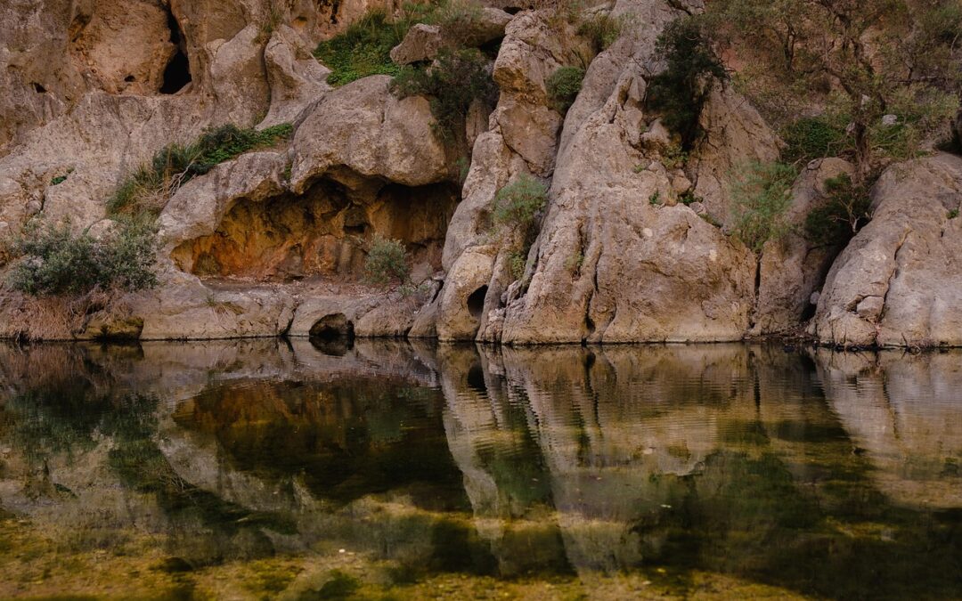 Nature Preserves Near Cave Junction ~ Quick Glance Hey There,…