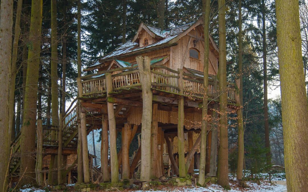 Out’n’About Treehouse Treesort: Beyond The Ordinary: Unforgettable Adventures Await! Ever…