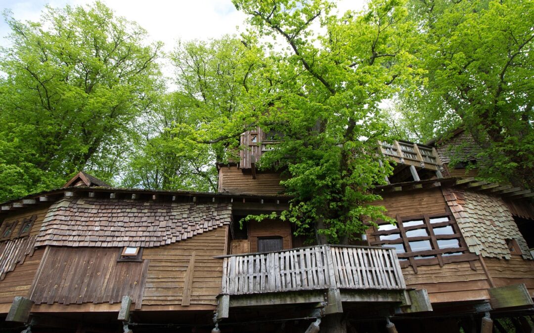Out’n’About Treehouse Treesort | Quick Peek: Your Adventure Awaits! Imagine…