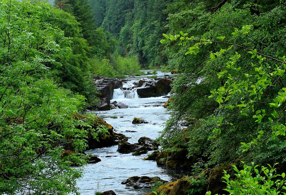 River Rafting Adventures In Southern Oregon: “`html Dive Into Adventure:…