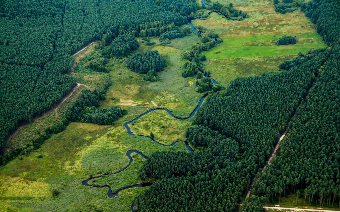 Specific River-Based Keywords | “`html Rivers: Your Guide To Wild…