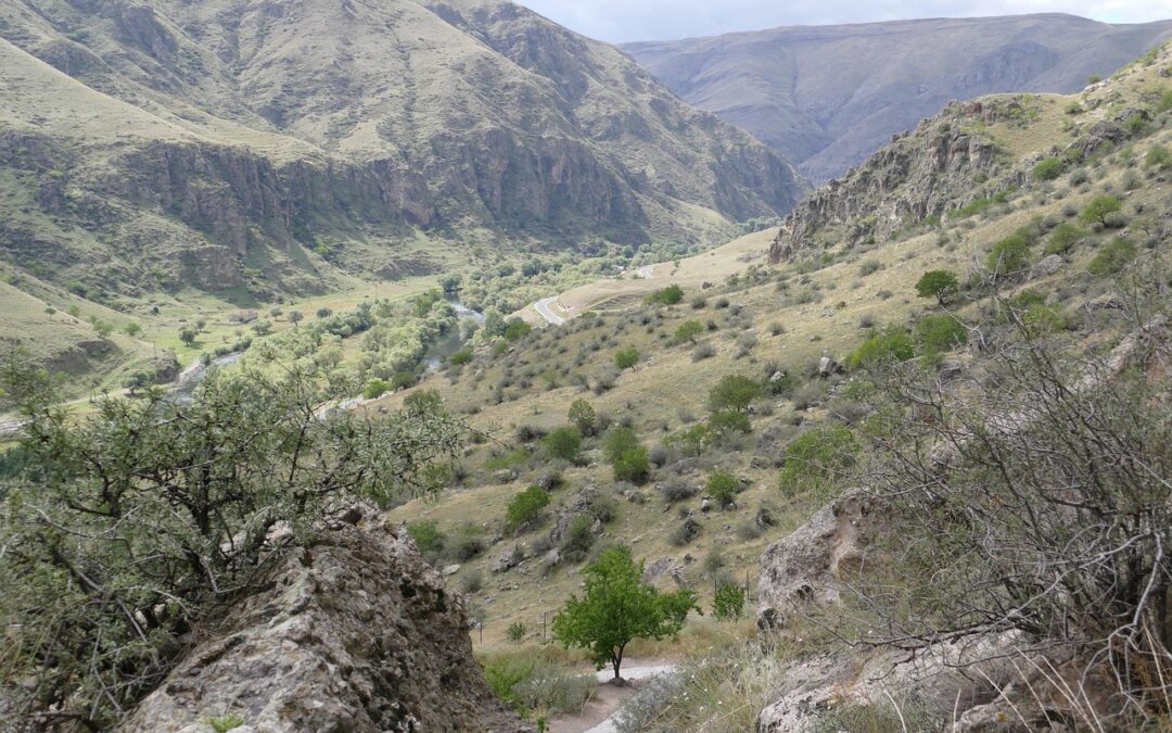 Top-rated Treehouse Stays Near Cave Junction » Adventures High Above:…