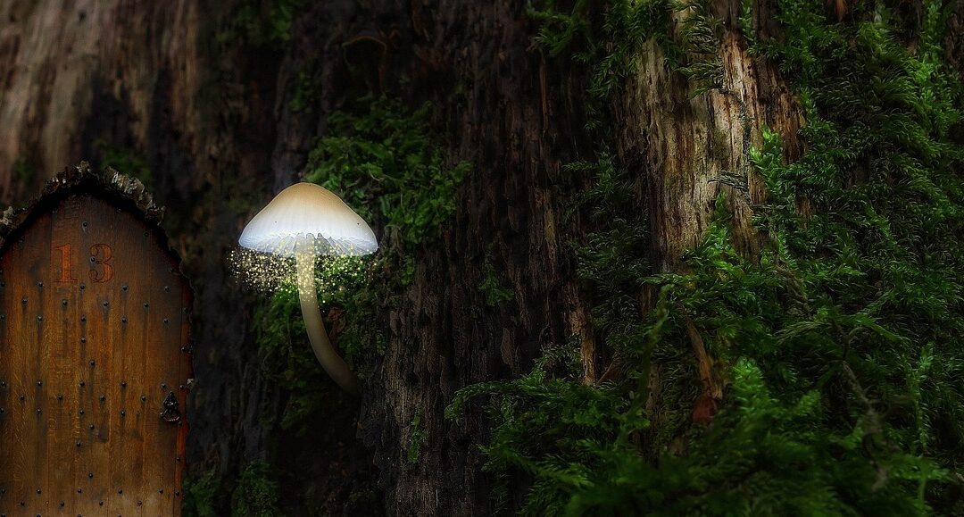 Top-rated Treehouse Stays Near Cave Junction / Unlock Your Next…