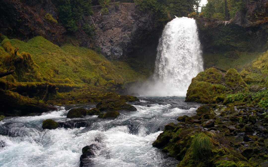 Unique Plant Species In Southern Oregon – Discover Southern Oregon’s…