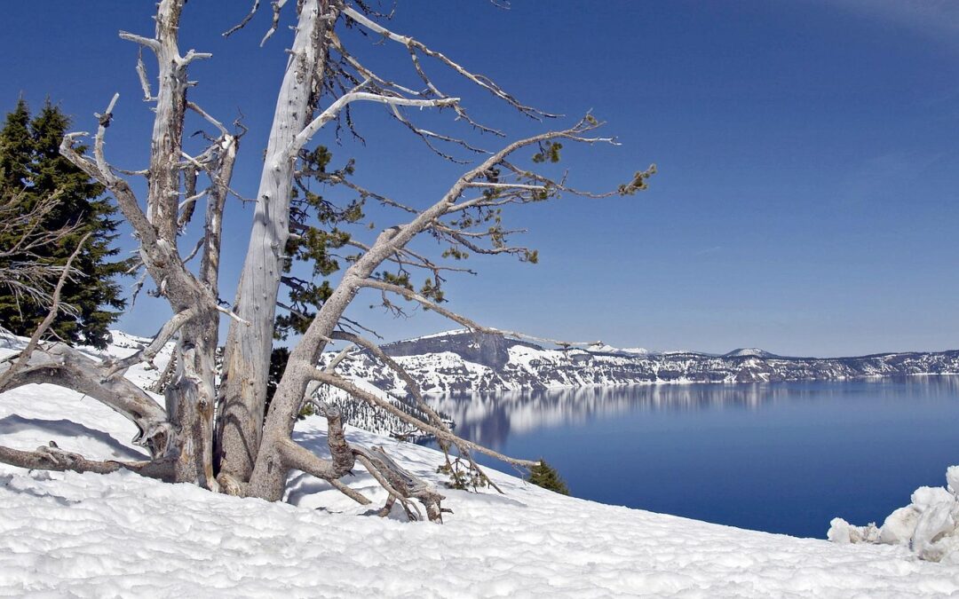 Wildlife Parks Near Cave Junction, Oregon » Unleash Your Inner…