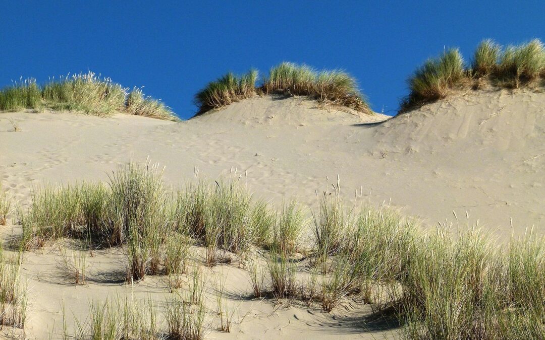 Adventure & Experience Keywords / Get Ready For Awesome Adventures:…