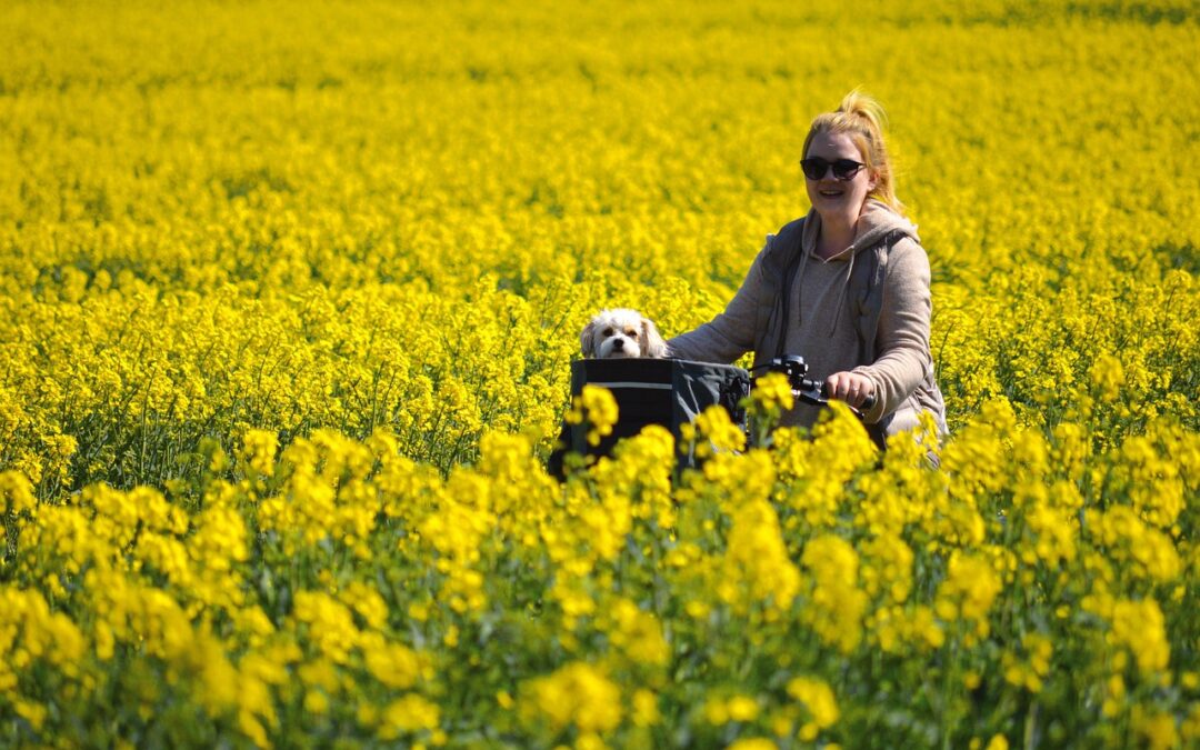 Best Rafting Tours On The Deschutes River » Your Oregon…