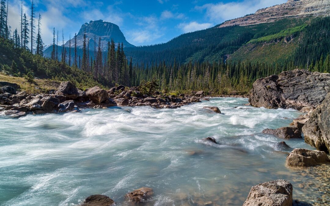 Eco-friendly Lodging Near Siskiyou National Forest: Unplug And Recharge: Your…
