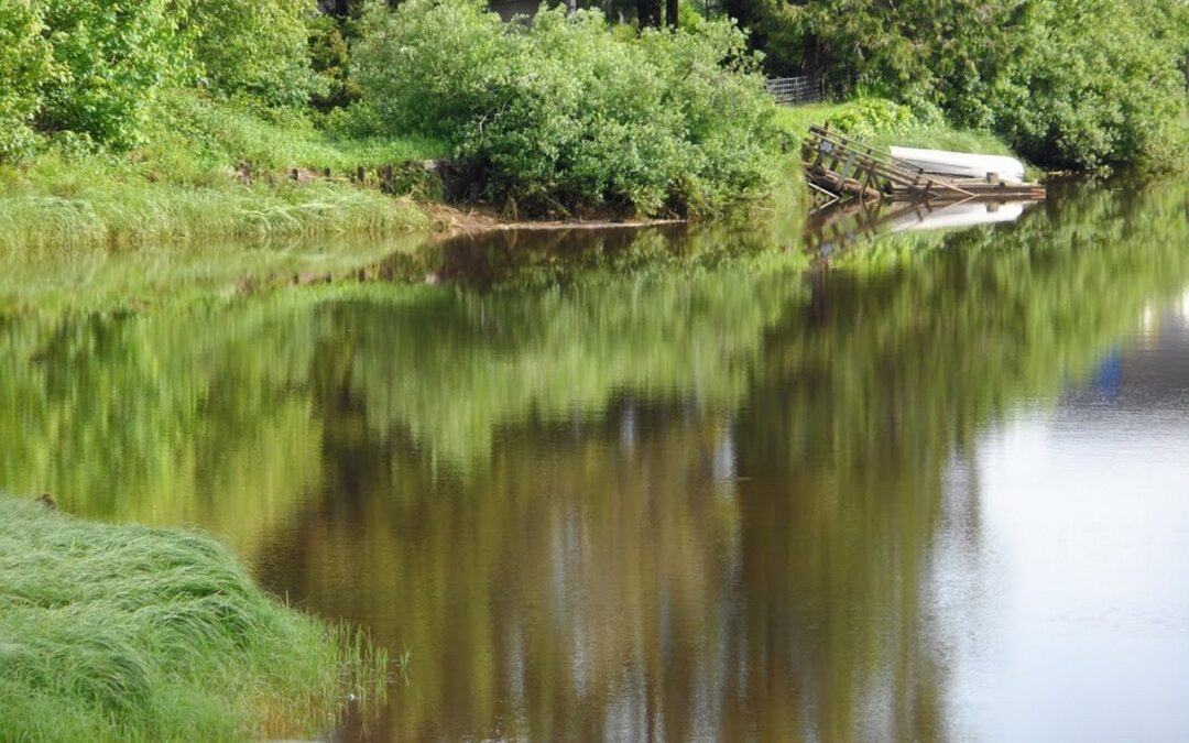 General Oregon River Rafting Keywords – Your Fast Track To…