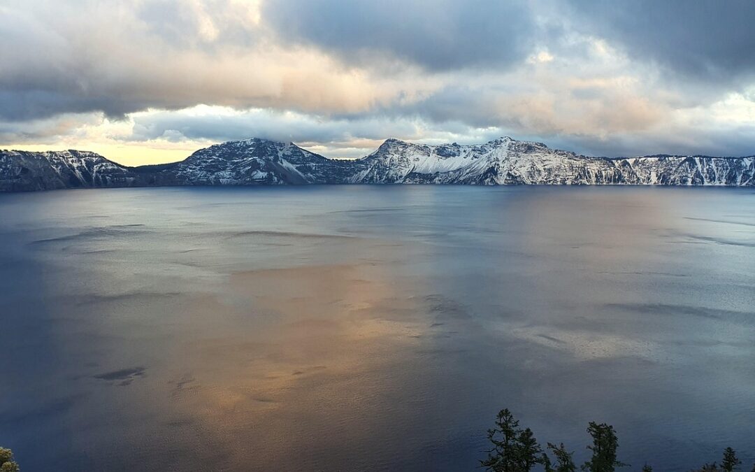 Guided Treehouse Tours In Oregon ~ Your Next Big Adventure:…