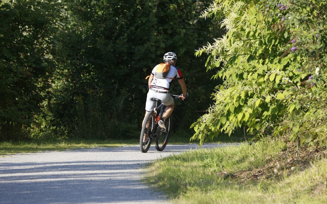Guided Treehouse Tours In Oregon: Unlock Oregon’s Wild Side: Treehouses,…