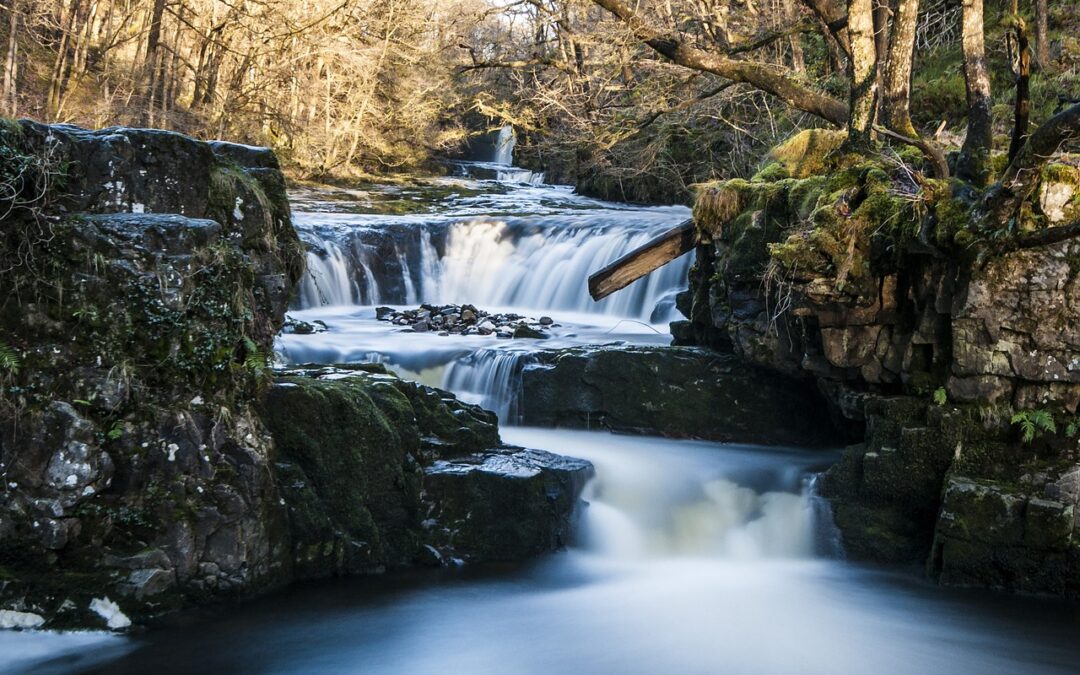 Guided Whitewater Rafting Trips In Oregon | Oregon’s Wild Side:…