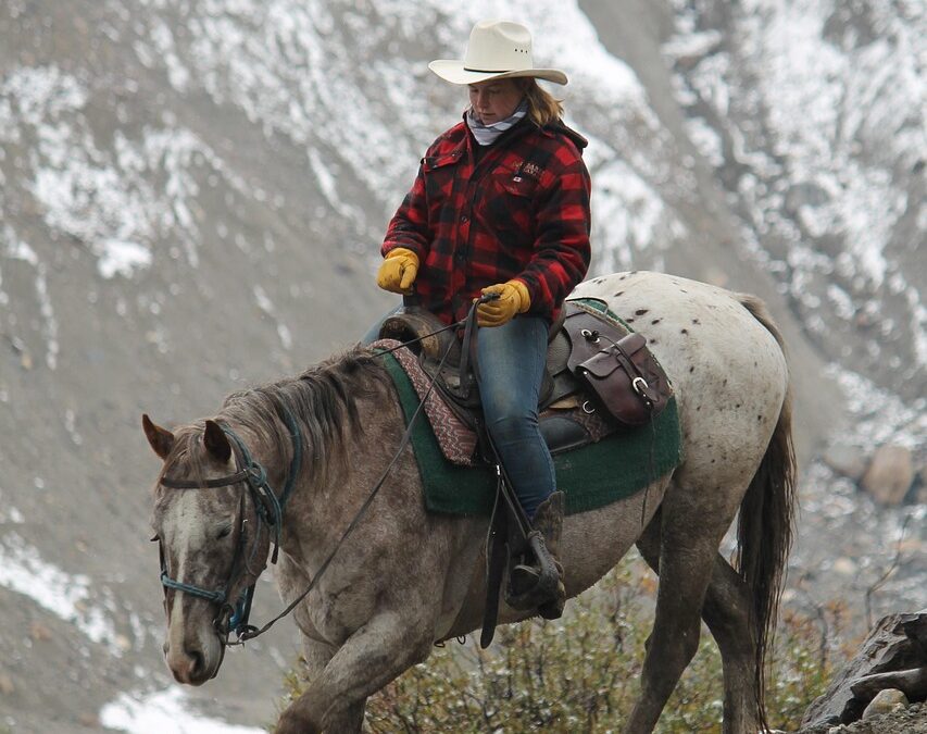 Horseback Riding At Out’n’About Treehouse Treesort – Your Treehouse &…