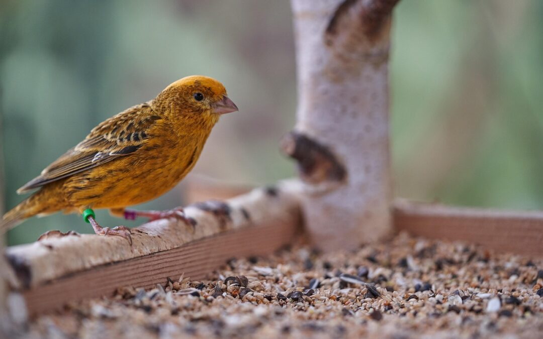 Local Attractions & Nearby Destinations | Quick Peek! Your Adventure…