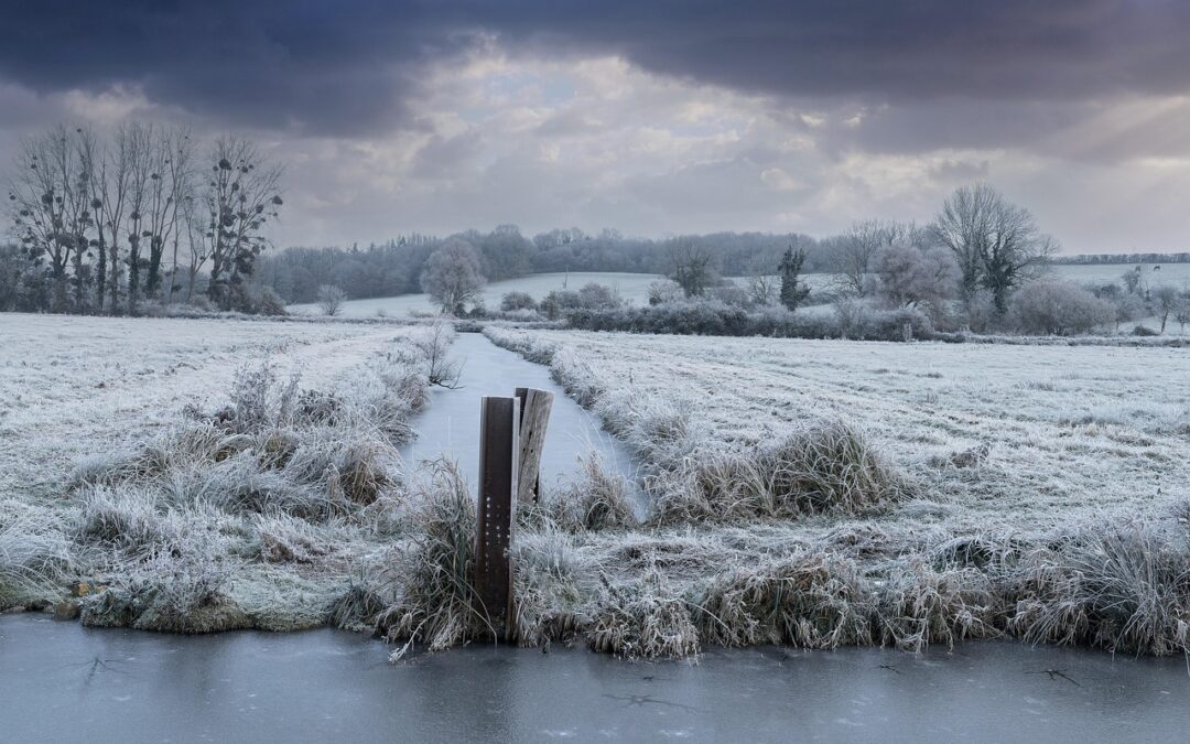 Oregon River Rafting Tours For Beginners: 🌊 TL;DR – Your…