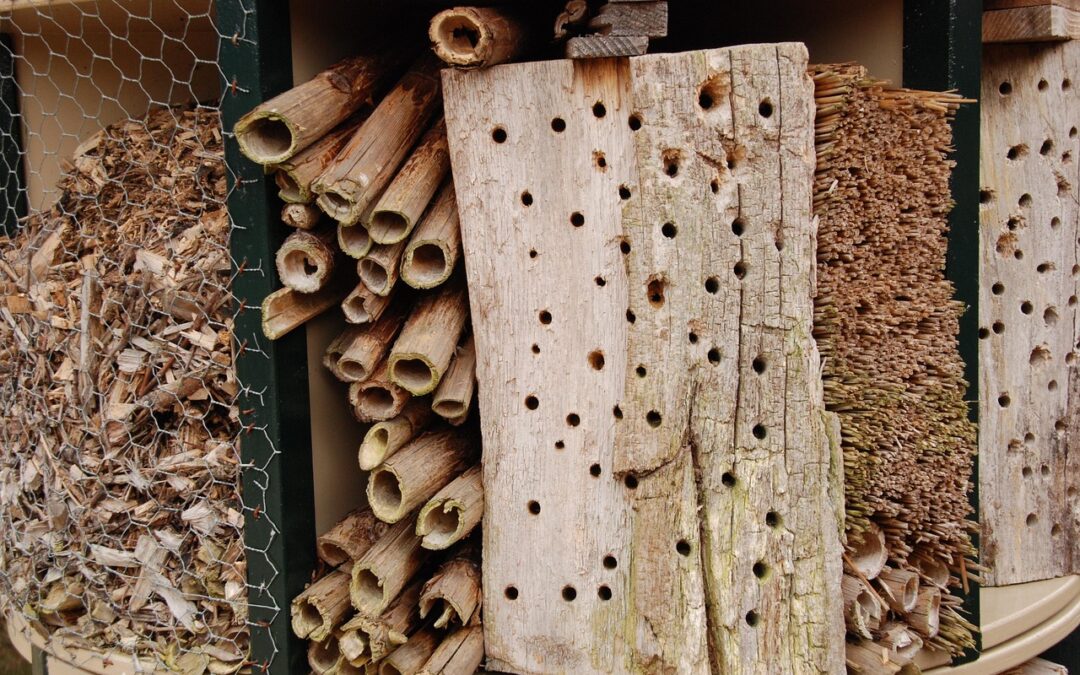 Outdoor Adventures & Activities – Reach For The Sky: Your…