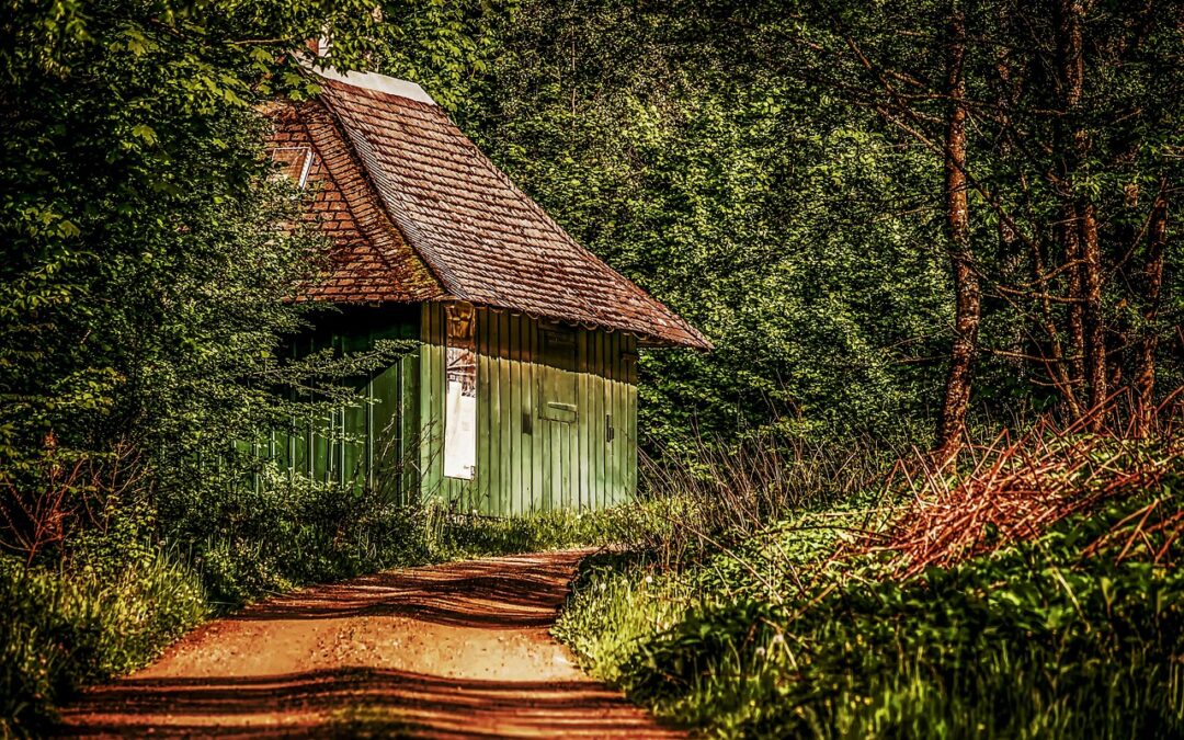 Outdoor Adventures & Activities » Your Ultimate Guide To Outdoor…