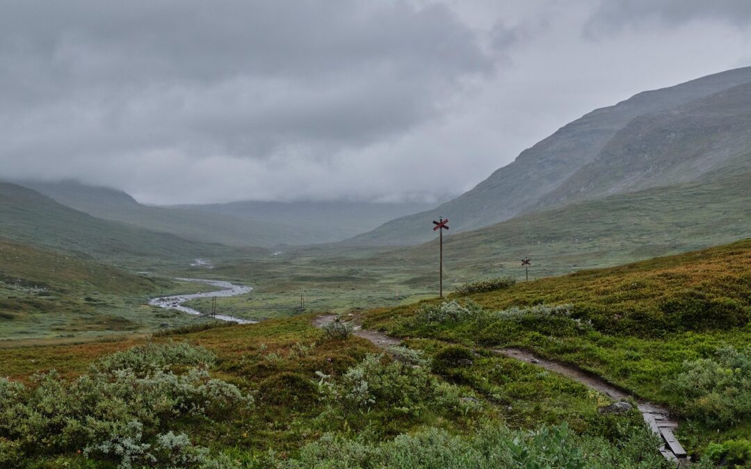 River Rafting Adventures In Cave Junction / Your Next Big…