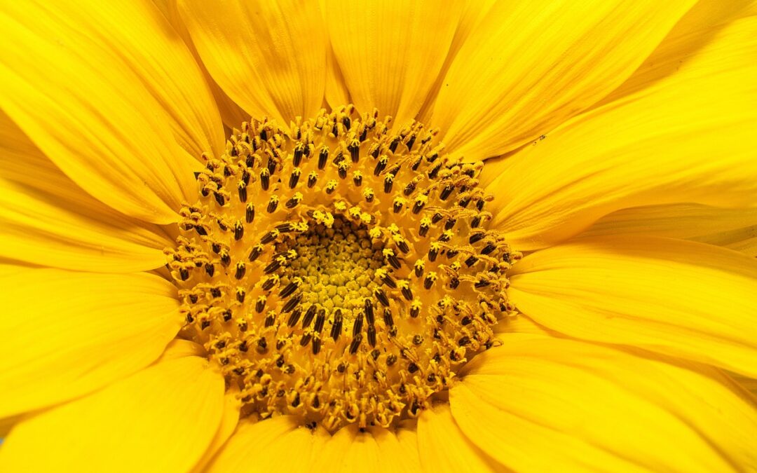 Rusk Ranch Nature Center » Discover Nature’s Playground: Rusk Ranch,…