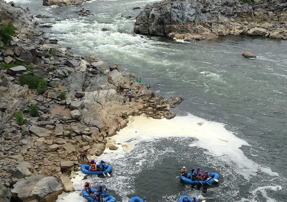 Scenic Rafting Experiences On The McKenzie River » Discover Oregon’s…