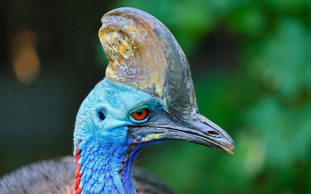 Unique Plant Species In Southern Oregon ~ Adventure Awaits: Explore…