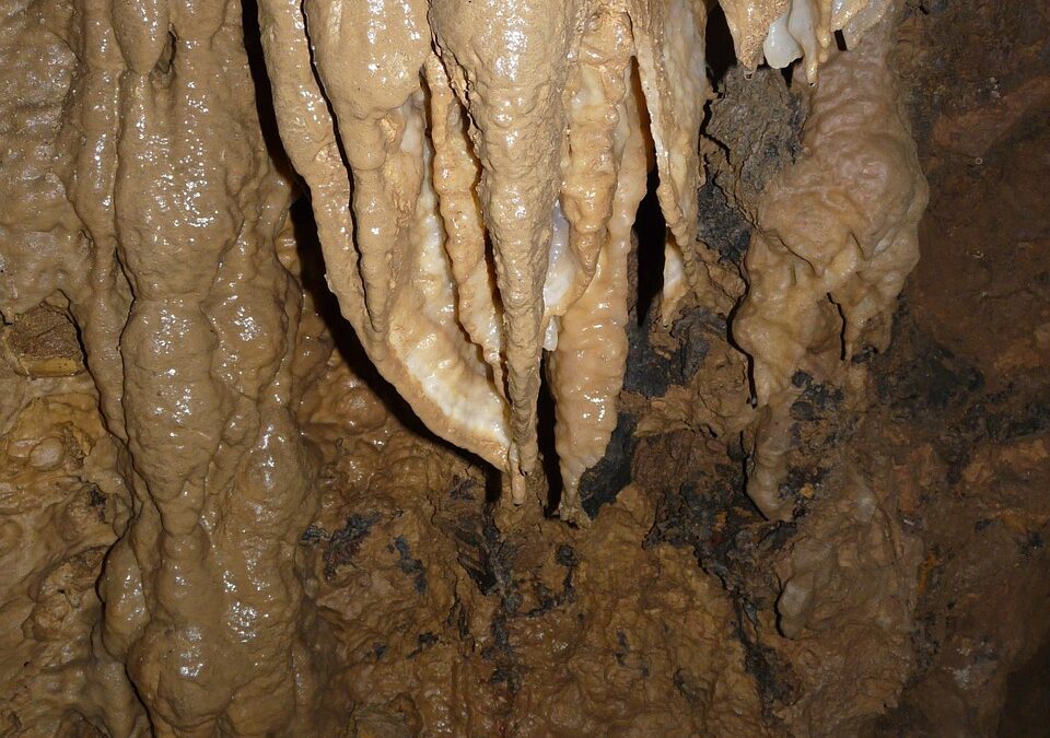 Guided Tours Of Oregon Caves National Monument | Adventure Awaits:…